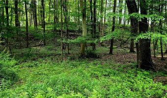 34 Stonykill & Granite Rd, Accord, NY 12404