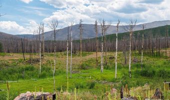 529 Quartz Rd, Bellvue, CO 80512