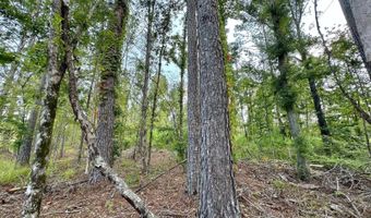 1 Prentiss Crump Rd, Terry, MS 39170