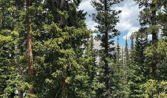 584 Camron Ln Lot 6, Breckenridge, CO 80424