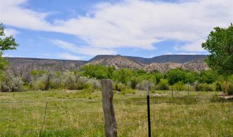 Lots 1 & 2 off of CR-162, Abiquiu, NM 87510