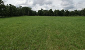 Tract 2 0000 Private Road 1184, Aurora, MO 65605