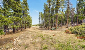 52 Meadowlake Dr, Black Hawk, CO 80422