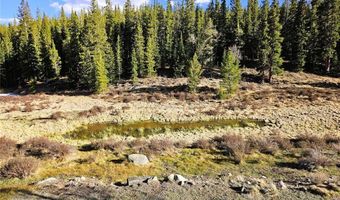 PCS # 7765 & 12057 Rollies Trail lot 0, Alma, CO 80420