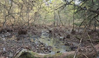 01 TBD Bates Arkansas, Bates, AR 72958