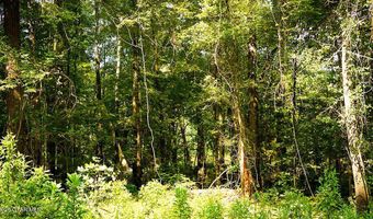 Cypress Pointe Drive lot 7, Brooksville, MS 39739