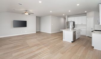 1113 Gardendale Hollow Ln, Anna, TX 75409