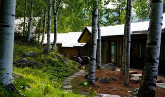 44481 HIGHWAY 82, Aspen, CO 81611