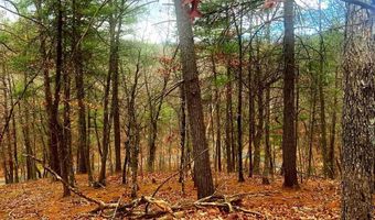 SPITZ Lane, Basye, VA 22810