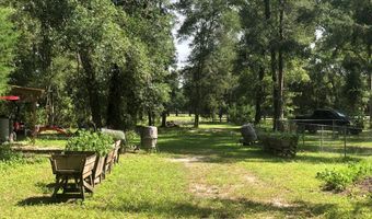 4969 32nd Pl, Bell, FL 32619