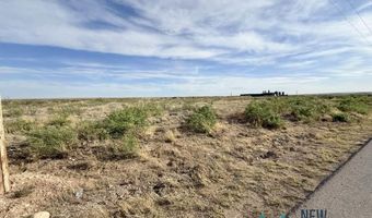 3700 Hidalgo Rd, Carlsbad, NM 88220