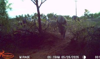 County Road 239, Afton, TX 79220