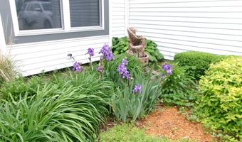 3100 Palm St, Atlantic, IA 50022