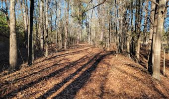 TBD Hwy 385 & Family Farm Rd, Bennettsville, SC 29512