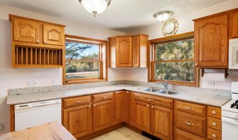 6639 Reams Rd, Alanson, MI 49706