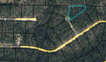 Rocky Court, Alford, FL 32420