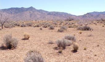 308-19 248 N Abeche Dr, Chloride, AZ 86431