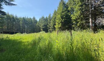 87503 UPPER FOURMILE Ln, Bandon, OR 97411