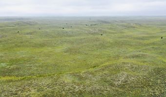755 90 +/- Acres, Arnold, NE 69120