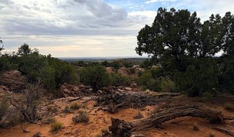 77 CR N8604, Concho, AZ 85924