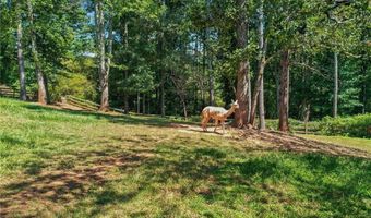 3204 Reavis Mountain Rd, Ball Ground, GA 30107