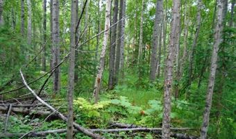 Lot 102 Nw Loc Sault Avenue, Anchorage, AK 99516