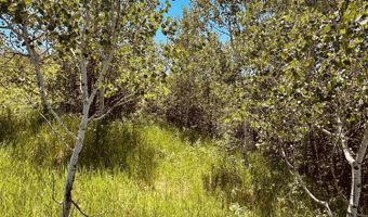 MARTEN Place, Alpine, WY 83128