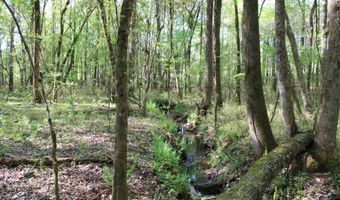Ruffner Road 00, Barnesville, GA 30204