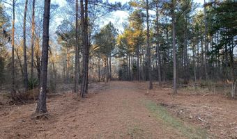 Spann Road, Batesburg Leesville, SC 29006