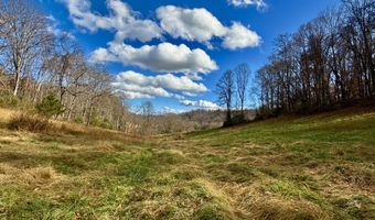 1520 Brittontown Rd, Afton, TN 37616