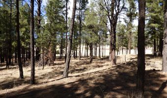 8 B County Road 2267 Escudilla Rd, Alpine, AZ 85920