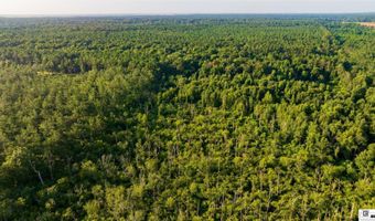 CARPENTER ROAD, Bastrop, LA 71220