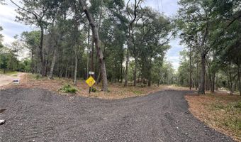 SE 152ND - RAVENSWOOD RD PARCEL B & C LOTS 16 17 Place, Altoona, FL 32702
