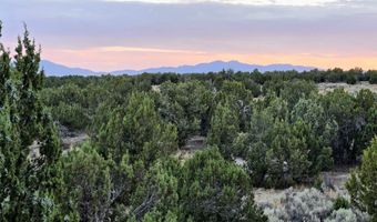 816 Hamilton Stage Rd, Elko, NV 89801