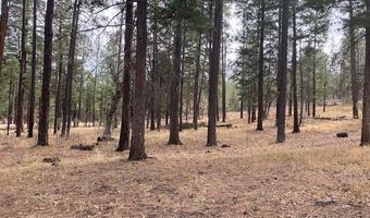 000 COUNTY ROAD 2196 LOT 74 AFE, Alpine, AZ 85920
