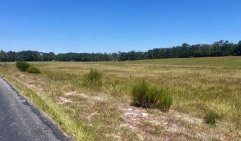 3830 NW 31st Ave, Bell, FL 32619