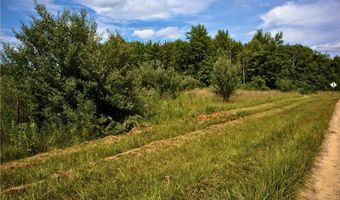 VL 104th Avenue, Allegan, MI 49010