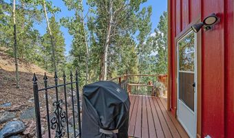 153 Wise Rd, Bailey, CO 80421