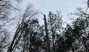 34655 Co Rd 49, Beaverton, AL 35544