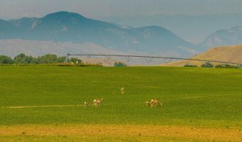 93 Chokecherry Draw, Buffalo, WY 82834