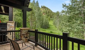 289 Exhibition Ln, Aspen, CO 81611