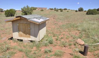 19 N8483, Concho, AZ 85924