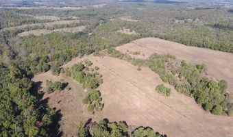 000 County Road 113, Alton, MO 65606