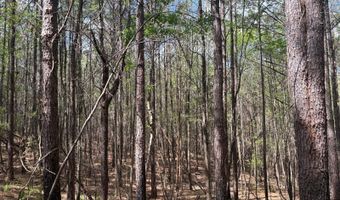 274 CR 3301, Booneville, MS 38829