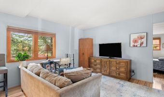 311 Oak Ln, Aspen, CO 81611