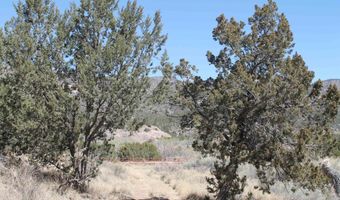 Tbd Mauer Drive, Bent, NM 88314