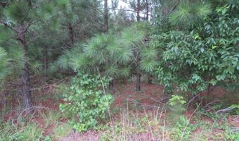 Lot 9 Carolina Crossroads, Roanoke Rapids, NC 27870