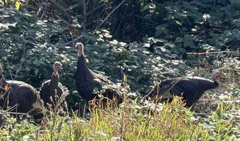13761 Asotin Creek Rd, Asotin, WA 99402