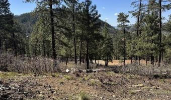 1142 Deer Ridge Dr, Bayfield, CO 81122