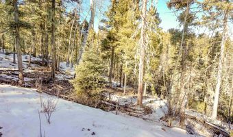 45 Sacramento Dr, Angel Fire, NM 87710